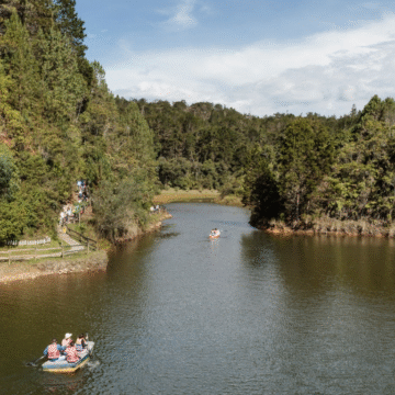 Parque Arví: Avances y Proyectos para la Protección de los Recursos Naturales