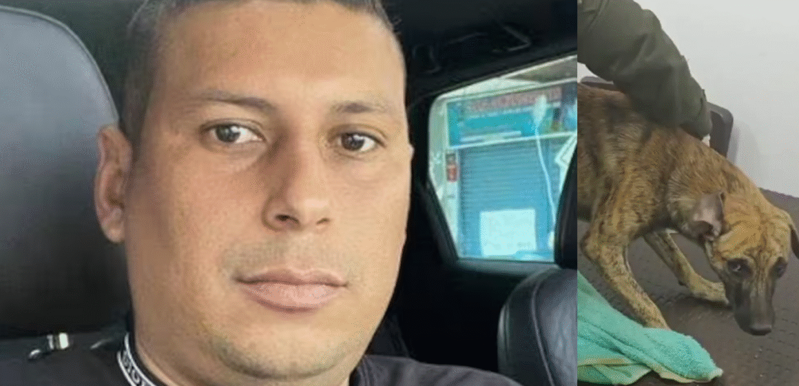 En foco (19) Se entregó el hombre que golpeó brutalmente a un perro; autoridades investigan si el animal que llevó es la víctima del video