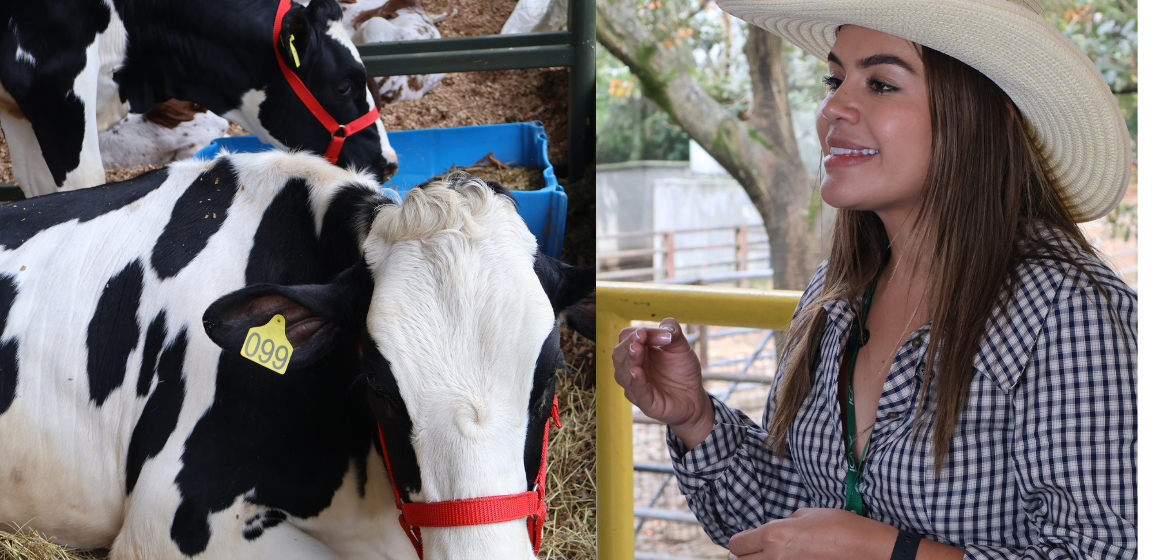 ICA reporta alta inscripción de ganaderos en SINIGAN V6 en todo el país