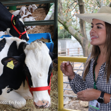 ICA reporta alta inscripción de ganaderos en SINIGAN V6 en todo el país