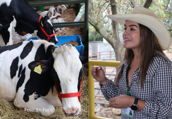 ICA reporta alta inscripción de ganaderos en SINIGAN V6 en todo el país