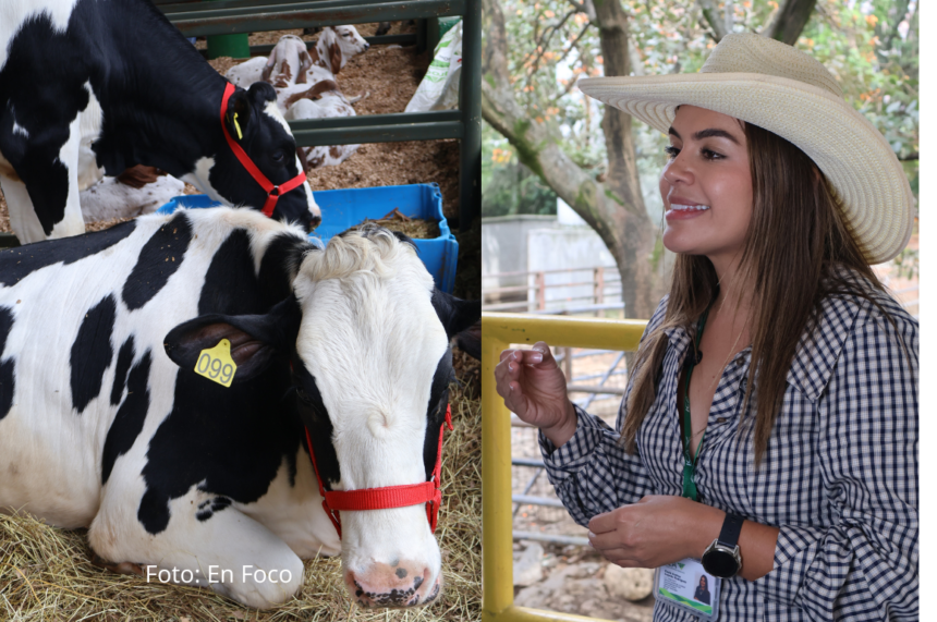 ICA reporta alta inscripción de ganaderos en SINIGAN V6 en todo el país